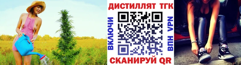 Купить где  Ирбит  Дистиллят ТГК концентрат 
