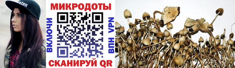 Галлюциногенные грибы Psilocybine cubensis  Купить  Ирбит 